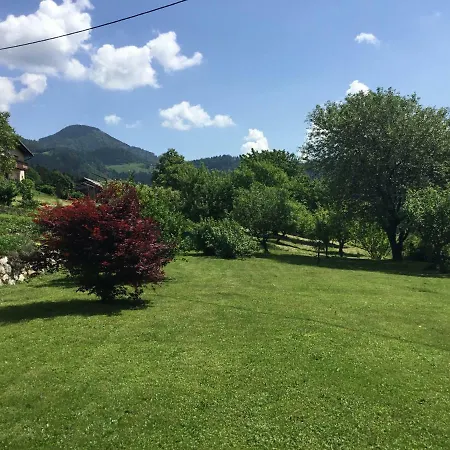 Ana * Ljubno