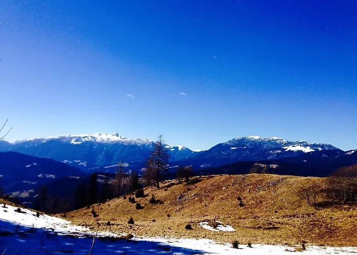 Apartment Ana Ljubno